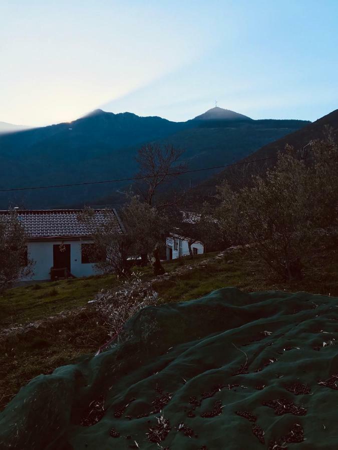 "Casa Do Avo Patricio" Mountain Experience Villa Parada  Buitenkant foto